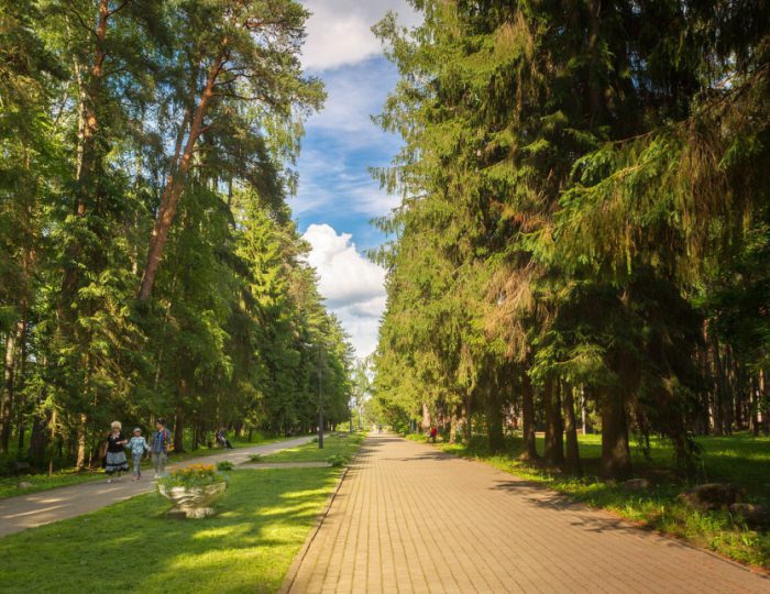 Территория - Санаторий «им. Воровского»